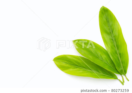Galanga leaves on white background. Galanga leaves on white background. 80273259