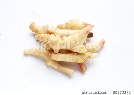 Young ginger on white background. 80273272