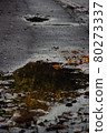 Autumn puddle and fallen leaves 80273337