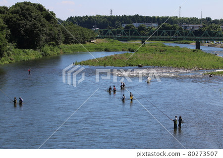 Ayu fishing in the river in summer Ayu fishing in the river in summer 80273507