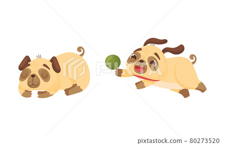 Cute Pug Dog Puppy Sleeping and Running After Ball Vector Set 80273520