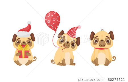 Cute Pug Dog Puppy Holding Balloon and Gift Box Vector Set Cute Pug Dog Puppy Holding Balloon and Gift Box Vector Set 80273521