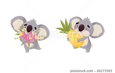 Cute Gray Koala Bear Carrying Bunch of Flowers and Pineapple Vector Set 80273565