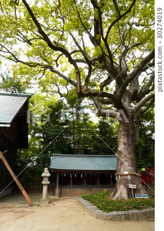 Oichi Hachiman Shrine Oichi Hachiman Shrine 80274019