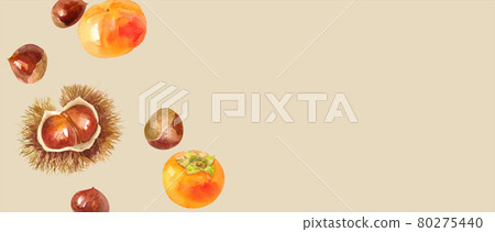 Autumn ingredients: Chestnut and persimmon bird's-eye view watercolor illustration trace vector. Banner background. (Layout can be changed) Autumn ingredients: Chestnut and persimmon bird's-eye view watercolor illustration trace vector. Banner background. (Layout can be changed) 80275440