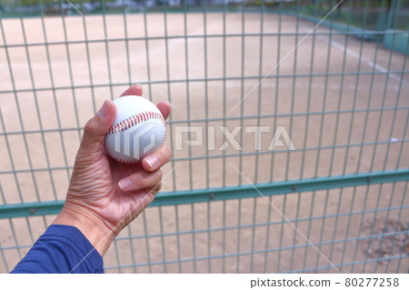 Baseball Ball Baseball Ball 80277258