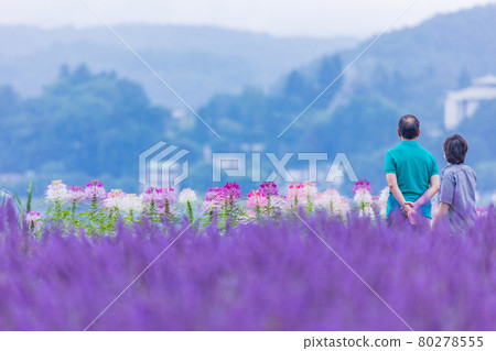 [Yamanashi Prefecture] Lake Kawaguchi, two people looking at the scenery of the lakeside 80278555