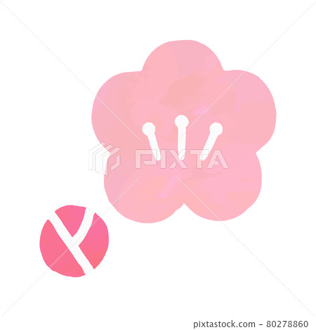 水彩風格的梅花和花蕾矢量素材 80278860