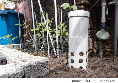 Worm tower with drilled holes placed in garden against plants Worm tower with drilled holes placed in garden against plants 80279320