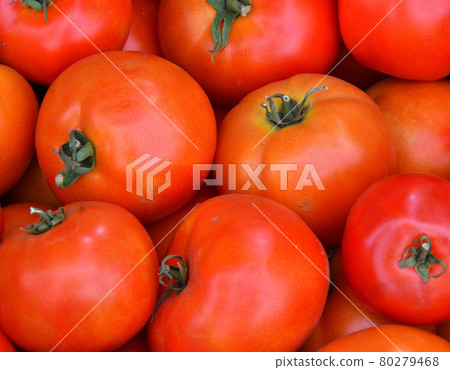 Ripe tomatoes of the new harvest Ripe tomatoes of the new harvest 80279468