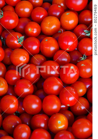 Ripe tomatoes of the new harvest Ripe tomatoes of the new harvest 80279469