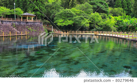 Maruike Shimizu (100 Selected Japanese Famous Waters) 80279646