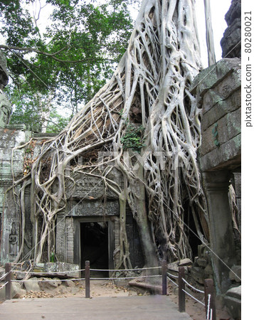 Ta Prohm around Angkor Thom, Cambodia. Near the central shrine. Ta Prohm around Angkor Thom, Cambodia. Near the central shrine. 80280021