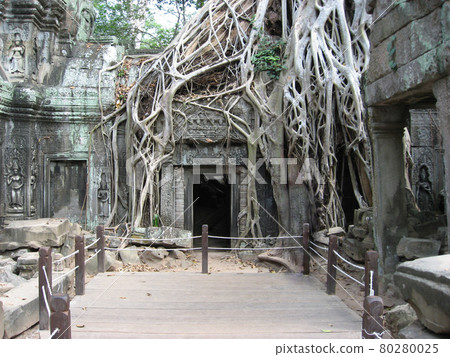 柬埔寨吳哥城附近的塔普倫寺。靠近中央神社。 柬埔寨吳哥城附近的塔普倫寺。靠近中央神社。 80280025