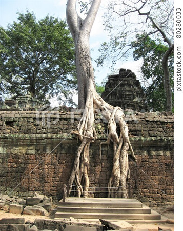 柬埔寨吳哥城附近的塔普倫寺。 柬埔寨吳哥城附近的塔普倫寺。 80280033