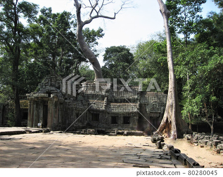 柬埔寨吳哥城附近的塔普倫寺。 柬埔寨吳哥城附近的塔普倫寺。 80280045