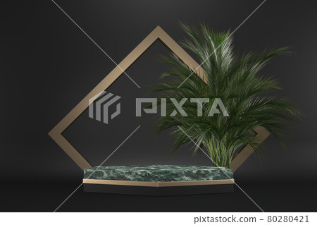 The Tropical granite Podium geometric and plants decoration on black background .3D rendering The Tropical granite Podium geometric and plants decoration on black background .3D rendering 80280421