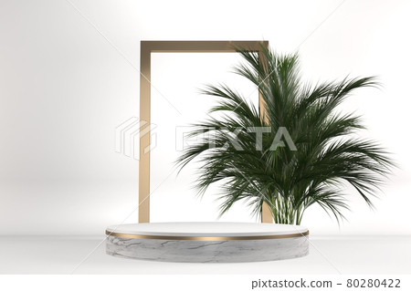 The Tropical granite Podium geometric and plants decoration on white background .3D rendering 80280422