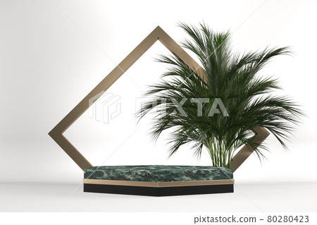 The Tropical granite Podium geometric and plants decoration on white background .3D rendering The Tropical granite Podium geometric and plants decoration on white background .3D rendering 80280423