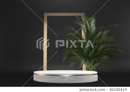 The Tropical granite Podium geometric and plants decoration on black background .3D rendering The Tropical granite Podium geometric and plants decoration on black background .3D rendering 80280424