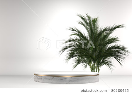 The Tropical granite Podium geometric and plants decoration on white background .3D rendering The Tropical granite Podium geometric and plants decoration on white background .3D rendering 80280425