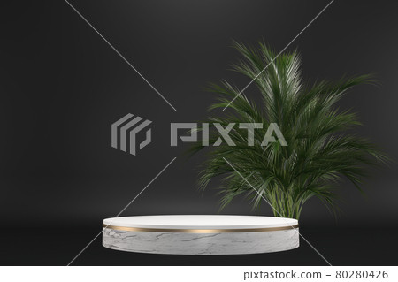 The Tropical granite Podium geometric and plants decoration on black background .3D rendering The Tropical granite Podium geometric and plants decoration on black background .3D rendering 80280426