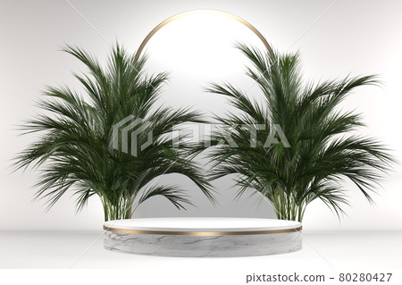 The Tropical granite Podium geometric and plants decoration on white background .3D rendering The Tropical granite Podium geometric and plants decoration on white background .3D rendering 80280427