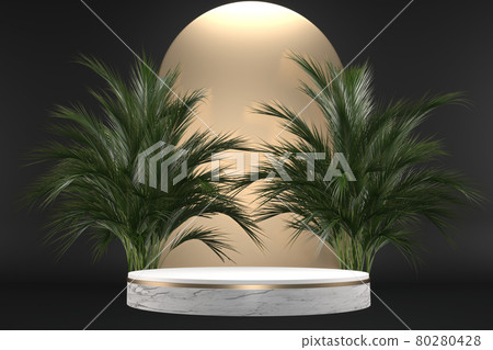 The Tropical granite Podium geometric and plants decoration on black background .3D rendering 80280428