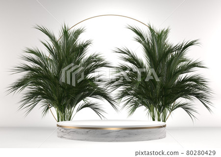 The Tropical granite Podium geometric and plants decoration on white background .3D rendering The Tropical granite Podium geometric and plants decoration on white background .3D rendering 80280429