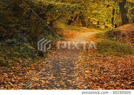 Filevsky Park in autumn in Moscow. Russia Filevsky Park in autumn in Moscow. Russia 80280808