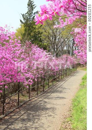 東京八王子龍南公園的三豐寺 80281255