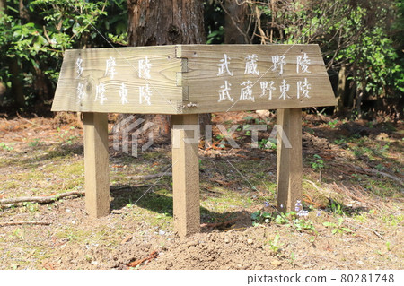 武藏皇陵（多摩皇陵）信息板 80281748