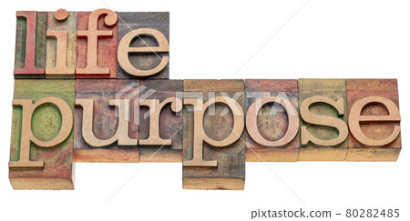 Life purpose wood type banner 80282485