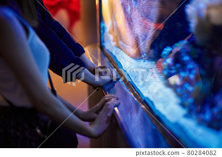 有年輕夫婦水族館約會 80284082