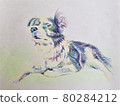 Border collie colored pencil drawing 80284212