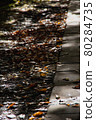 Fallen leaves and sunlight on the sidewalk 80284735