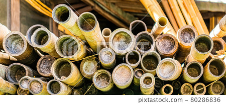 A stack of old, cut off bamboo sticks. 80286836