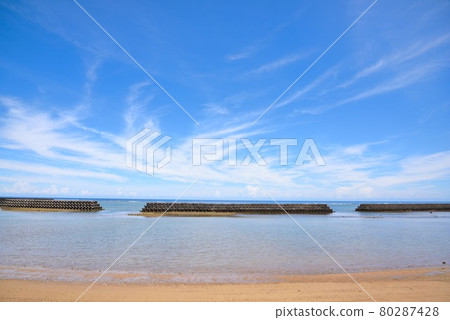 Amami Oshima, a coast lined with wave-dissipating blocks 80287428