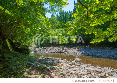 Nakagi River, Nakagi Dam, near the upper reaches of Lake Myogi, the surrounding scenery in early summer. 80288071