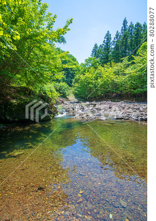 中木川，中木水壩，靠近妙義湖上游，初夏的周邊景色。 80288077