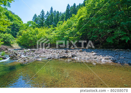 中木川，中木水壩，靠近妙義湖上游，初夏的周邊景色。 80288078