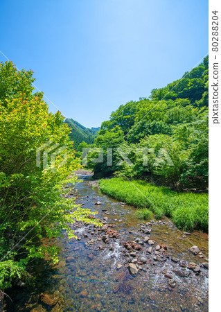 中木川，中木水壩，靠近妙義湖上游，初夏的周邊景色。 80288204