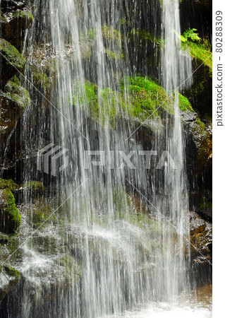Shizuoka Prefecture White Silk Waterfall Shizuoka Prefecture White Silk Waterfall 80288309