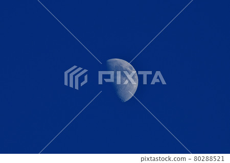 The month of July 18th, heading for the full moon in Hakushu-cho, Hokuto City. 8 months old 80288521