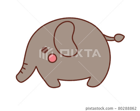 Elephant_2 80288862
