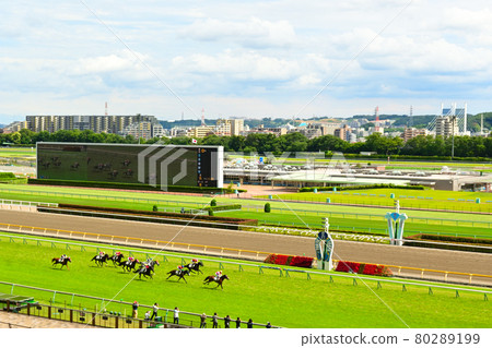 Tokyo Racecourse Date: Scenery inside the venue (from the goal scene distant scenery audience seats) 80289199