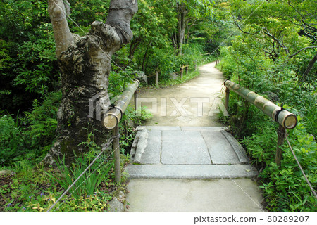 Joruri-ji Temple, Ishibashi in the precincts, Kizugawa City, Kyoto Prefecture Joruri-ji Temple, Ishibashi in the precincts, Kizugawa City, Kyoto Prefecture 80289207