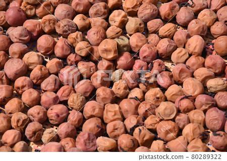 Plum rice cooker sashimi Plum rice cooker sashimi 80289322