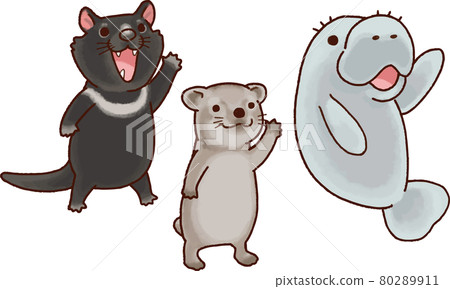 【動物】袋獾、岩蹄兔、海牛 80289911