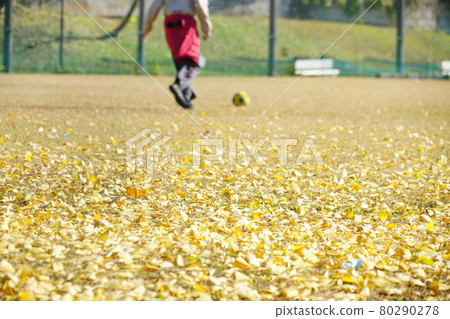 Sports fall 80290278